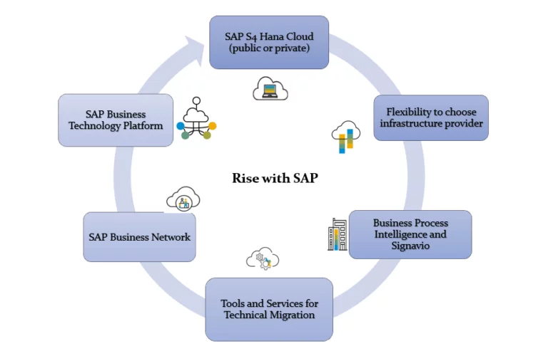 Rise with SAP: An Overview of the Integrated Solution That Can Help Businesses Transform